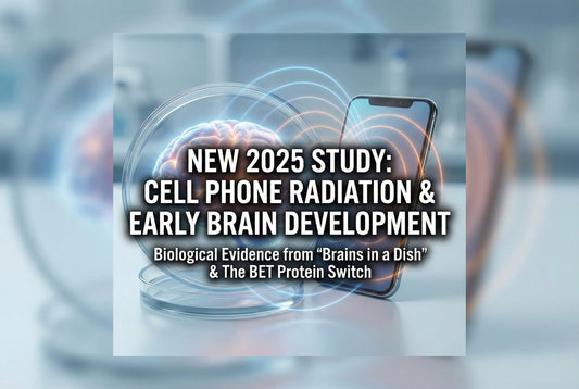 New 2025 Study Shows Cell Phone Radiation May Affect Early Brain Development