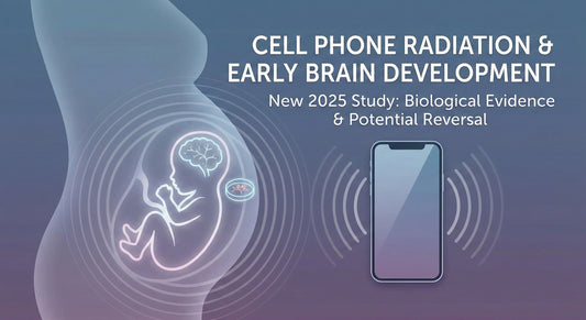 New 2025 Study Shows Cell Phone Radiation May Affect Early Brain Development