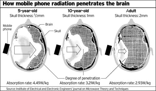 Cell Phone Brain Penetration