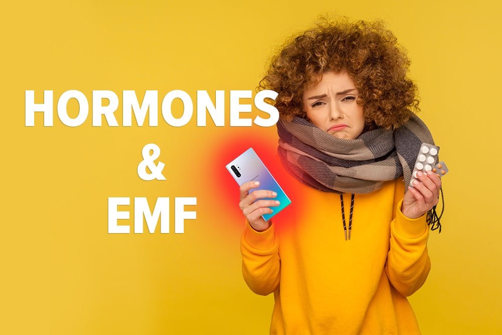 DefenderShield EMF Effects on Hormones and the Endocrine System