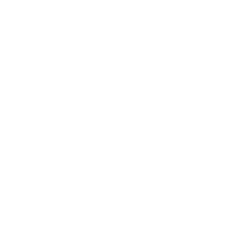 DefenderShield Wifi Icon White