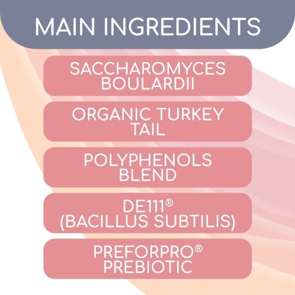 Lightbody Gut Health Main Ingredients