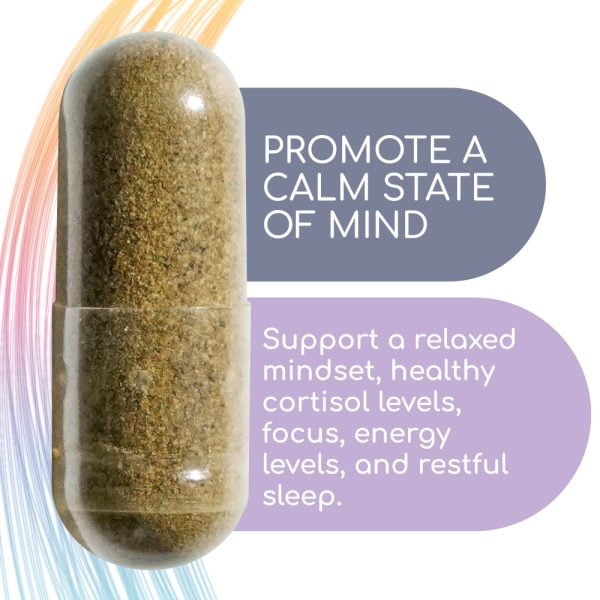 Lightbody Stress Support Supplement Supports
